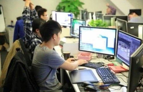 程序员去哪个公司