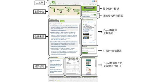 wingo数据库适用于哪些应用领域