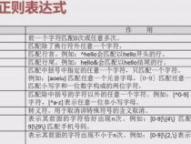 正则表达式()是什么意思