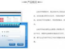 软件实施是做什么的