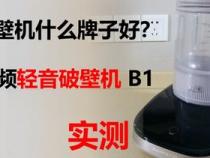 什么牌子破壁机好用又实惠又静音