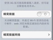 苹果手机的网络设置在哪