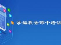 我想学习编程,是自学好还是去培训机构学好呢