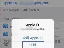 怎么在苹果手机上登录国外id账户