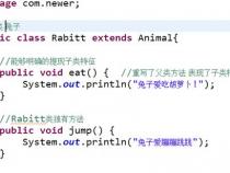 java三大特征