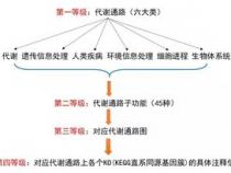 kegg富集通路图怎么看