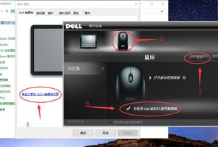 戴尔笔记本触摸鼠标怎么开启