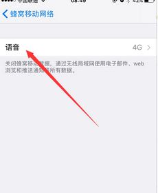 苹果手机为什么打电话就断网呢