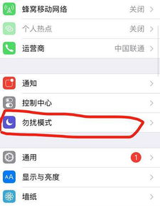 苹果手机左上角的月亮标志是什么意思