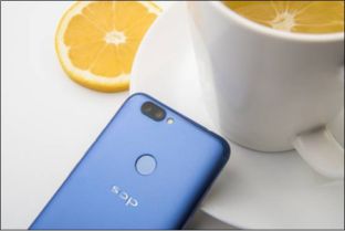 2023年智能手机什么牌子好,性价比高