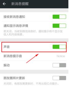 苹果手机一听语音就死机了