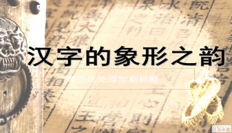 汉字的发展 ppt