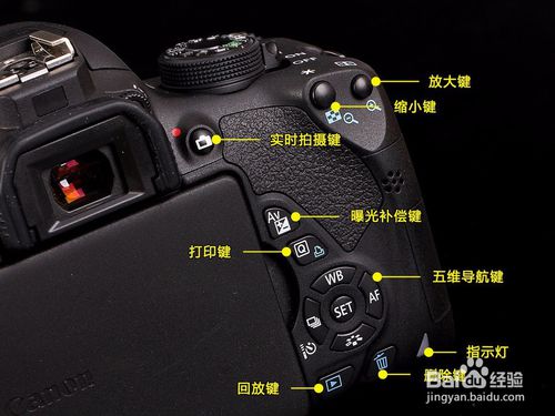 单反相机700d是什么意思