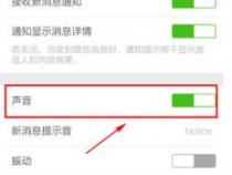 苹果手机一听语音就死机了
