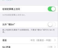 苹果的语音助手叫什么