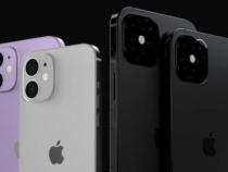 苹果12手机价格及图片和参数配置(iPhone12官网报价128G)