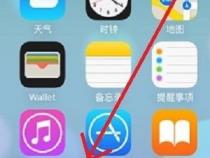 苹果手机怎么查找下载文件的位置