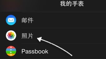 怎样将苹果手表的录音同步到手机里