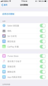 苹果手机设置权限在哪