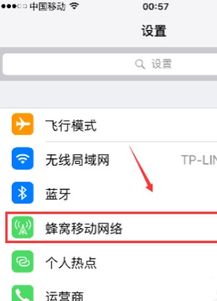 苹果手机的流量开关在哪里