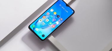 OPPO翻盖手机中,哪一款是价格最高的