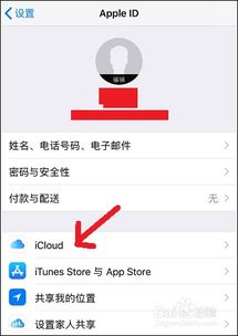 如何防止自己的苹果手机被别人监控