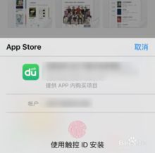 苹果手机怎么下载软件