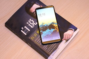 拍照好内存大性电商用性价比高的手机