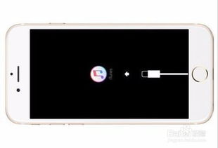 苹果6突然蓝屏然后死机开不开机怎么回事