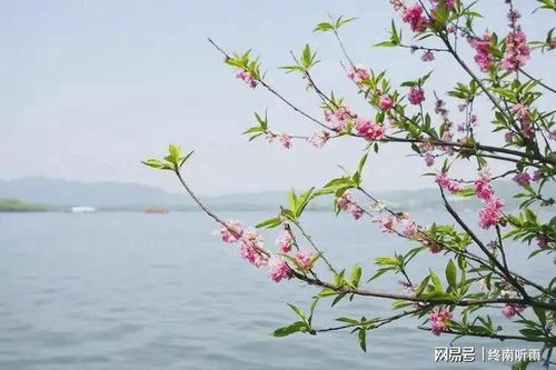 关于春天能联想到什么