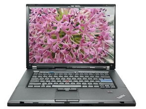 thinkpad t500对比w500