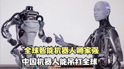 智能机器人十大排名