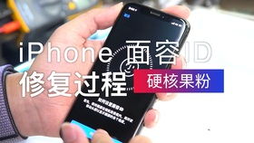 苹果手机面容ID坏了维修大概多少钱