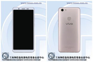 vivoy75参数
