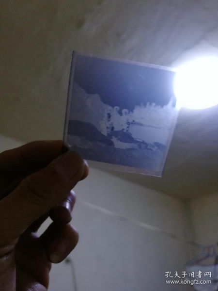 底片跟照片有什么区别