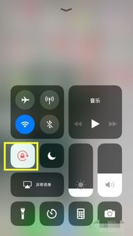 苹果手机免费看电影的网站有哪些