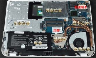 目前联想G510可以更换的最好的cpu是哪个型号的