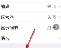 苹果手机屏幕字体突然变得很大,怎么调回来