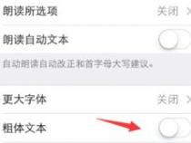 苹果手机怎么换字体