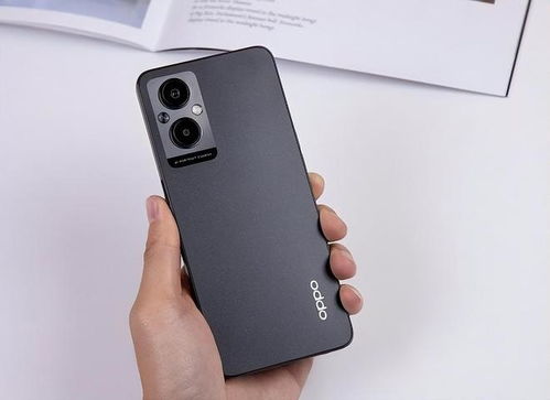 硕王手机256g价格