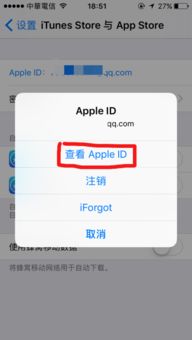 怎样查询苹果手机apple id的余额