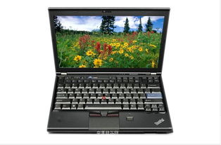 二手Thinkpad X390淘机攻略：13.3寸的轻薄本该怎么选配置