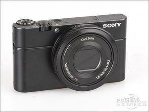 佳能110和索尼RX100各有什么优点