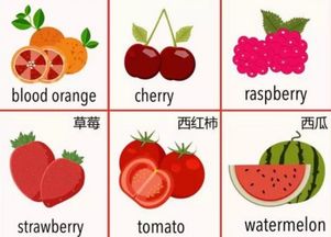 水果种类英语名称大全
