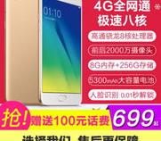 8g十256g内存手机是什么意思