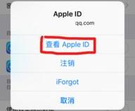 怎样查询苹果手机apple id的余额