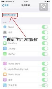 苹果手机如何关闭锁屏界面的相机功能