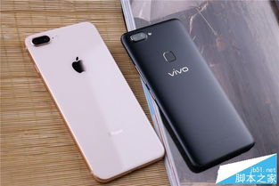8p是什么手机