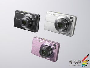 索尼DSC-W170 数码相机有那些功能