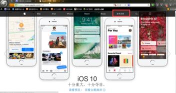 苹果手机怎么查询正品
